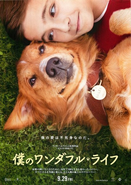 A Dog's Purpose (2017) original Japanese theatrical chirashi flyer