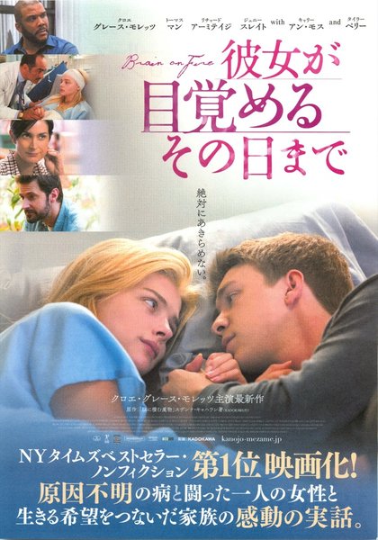 Brain on Fire (2016) original Japanese theatrical chirashi flyer