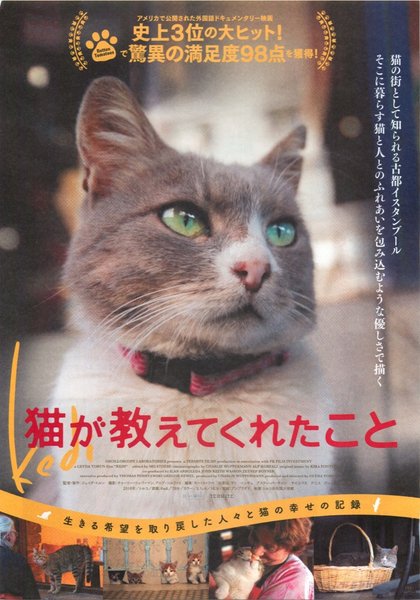 Kedi (2016) original Japanese theatrical chirashi flyer