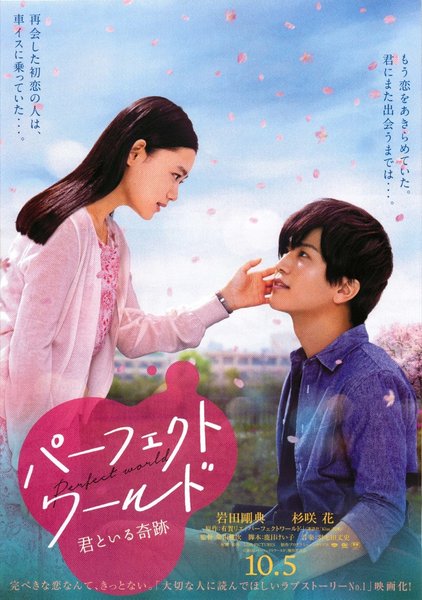 パーフェクトワールド 君といる奇跡 (2018) original Japanese theatrical chirashi flyer