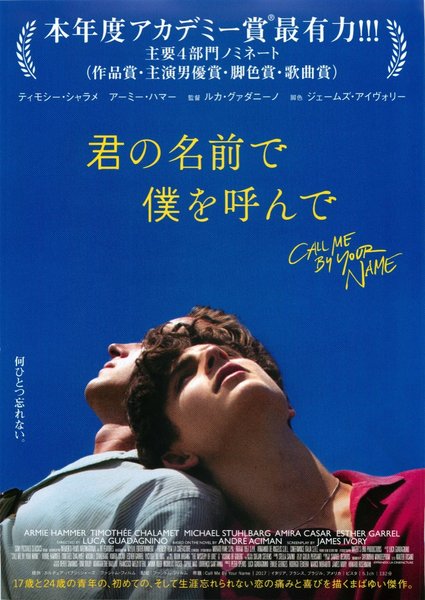 Call Me by Your Name (2017) original Japanese theatrical chirashi flyer