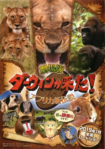 劇場版 ダーウィンが来た！ アフリカ新伝説 (2019) original Japanese theatrical chirashi flyer
