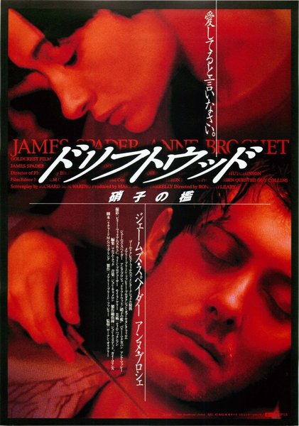 DRIFTWOOD (1997) original Japanese theatrical chirashi flyer