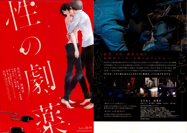 性の劇薬 (2020) original Japanese theatrical chirashi flyer