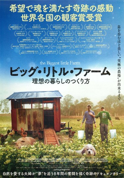 The Biggest Little Farm (2018) original Japanese theatrical chirashi flyer