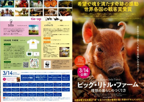 The Biggest Little Farm (2018) original Japanese theatrical chirashi flyer