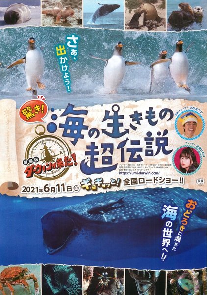 驚き！海の生きもの超伝説　劇場版ダーウィンが来た！ (2021) original Japanese theatrical chirashi flyer