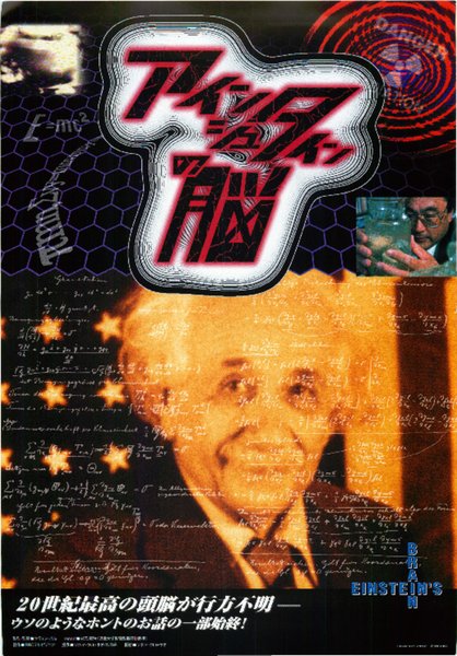 EINSTEIN'S BRAIN (1994) original Japanese theatrical chirashi flyer