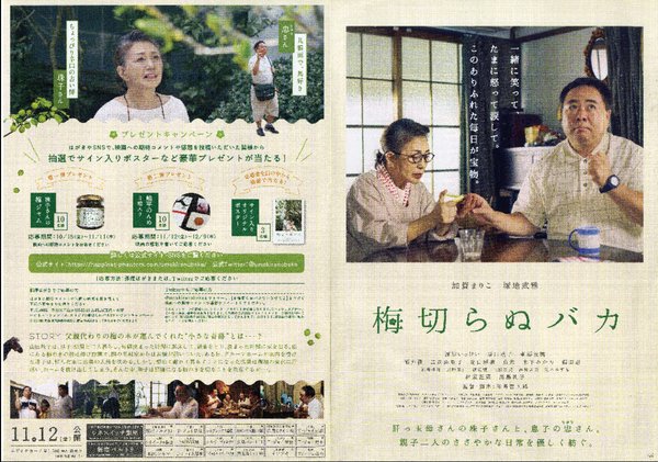 梅切らぬバカ (2021) original Japanese theatrical chirashi flyer