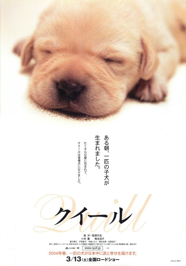 クイール (2003) original Japanese theatrical chirashi flyer