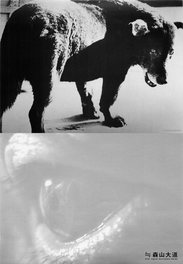 NEAR EQUAL MORIYAMA DAIDO (2001) original Japanese theatrical chirashi flyer