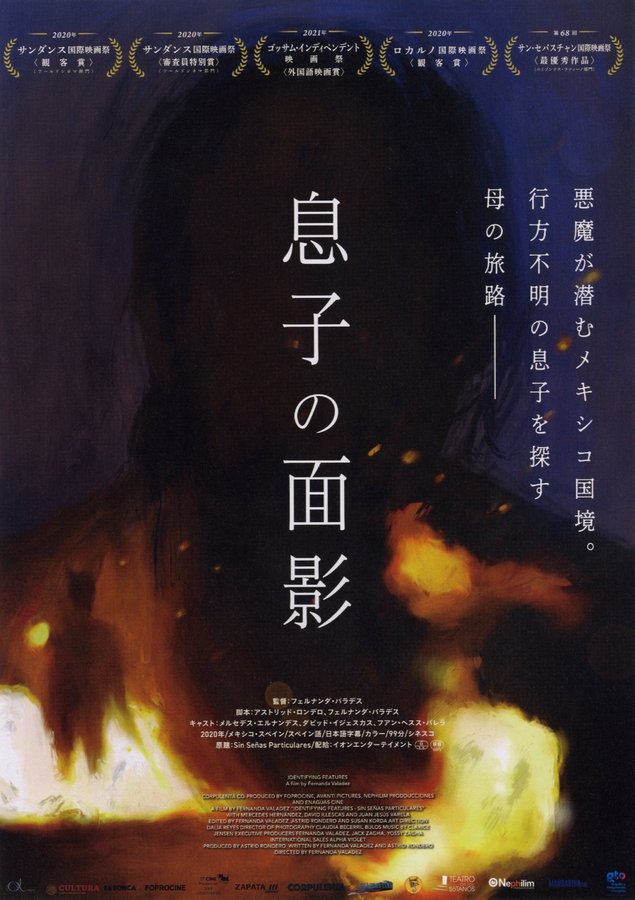 Identifying Features (2020) original Japanese theatrical chirashi flyer