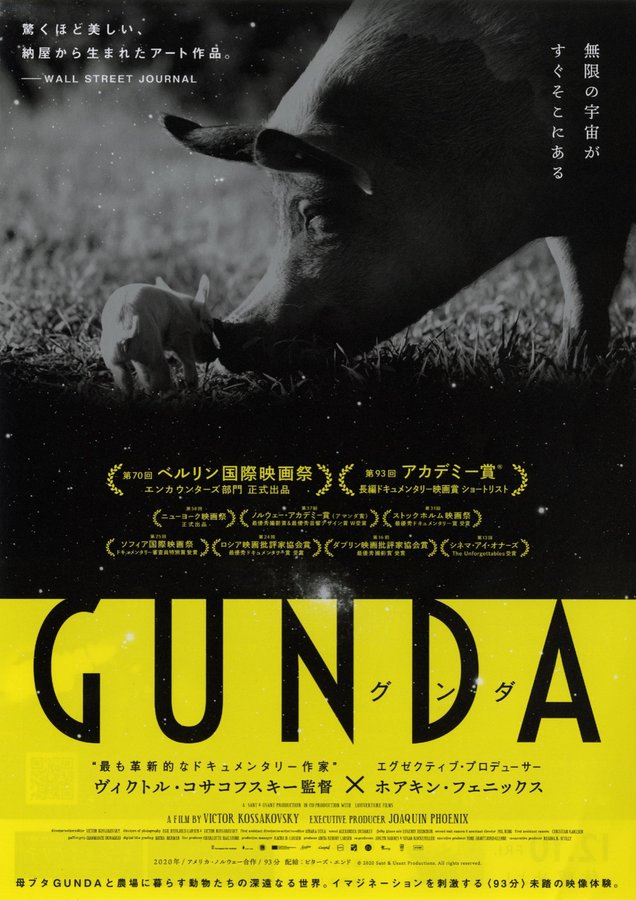 Gunda (2020) original Japanese theatrical chirashi flyer