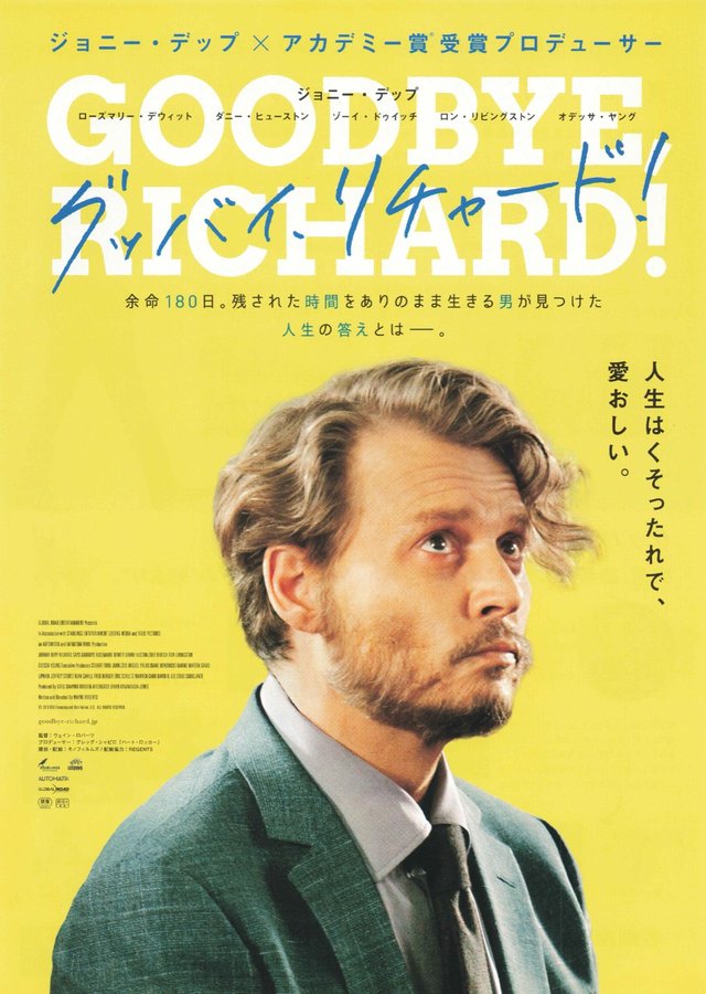 The Professor (2018) original Japanese theatrical chirashi flyer