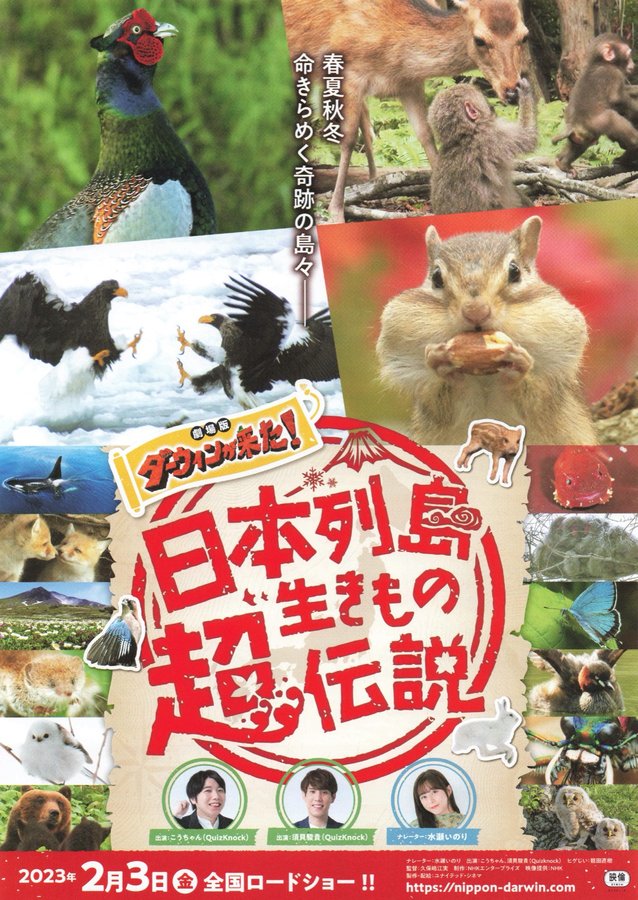 日本列島生きもの超伝説 劇場版ダーウィンが来た！ (2023) original Japanese theatrical chirashi flyer