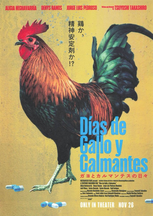 ガヨとカルマンテスの日々 (2022) original Japanese theatrical chirashi flyer