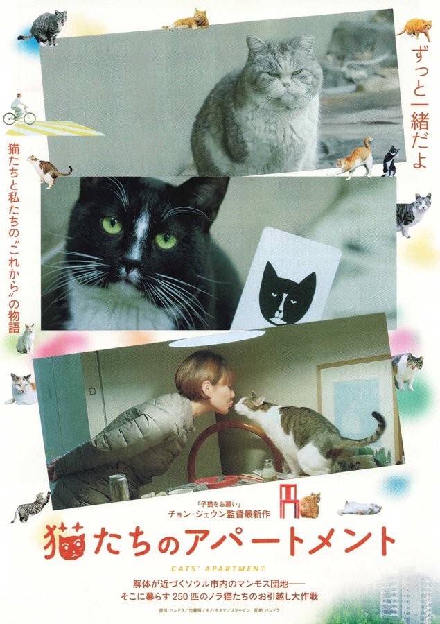 Cat's Apartment (2022) original Japanese theatrical chirashi flyer