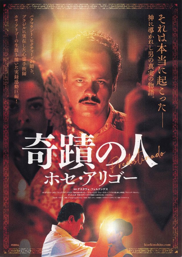 A Dangerous Practice (2022) original Japanese theatrical chirashi flyer