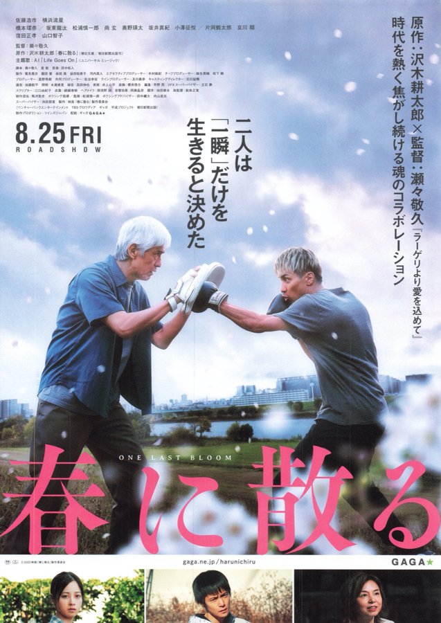 Fall in Spring (2023) original Japanese theatrical chirashi flyer