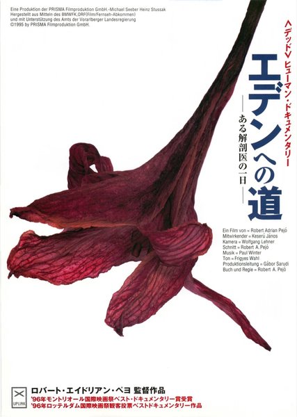 DER WEG NACH EDEN (1995) original Japanese theatrical chirashi flyer