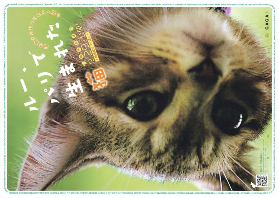 MON CHAT ET MOI, LA GRANDE AVENTURE DE RROÛ (2023) original Japanese theatrical chirashi flyer