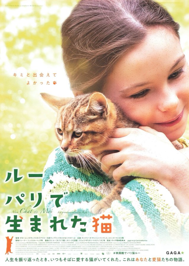 MON CHAT ET MOI, LA GRANDE AVENTURE DE RROÛ (2023) original Japanese theatrical chirashi flyer