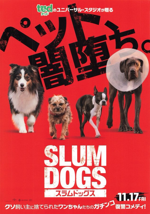 Strays (2023) original Japanese theatrical chirashi flyer