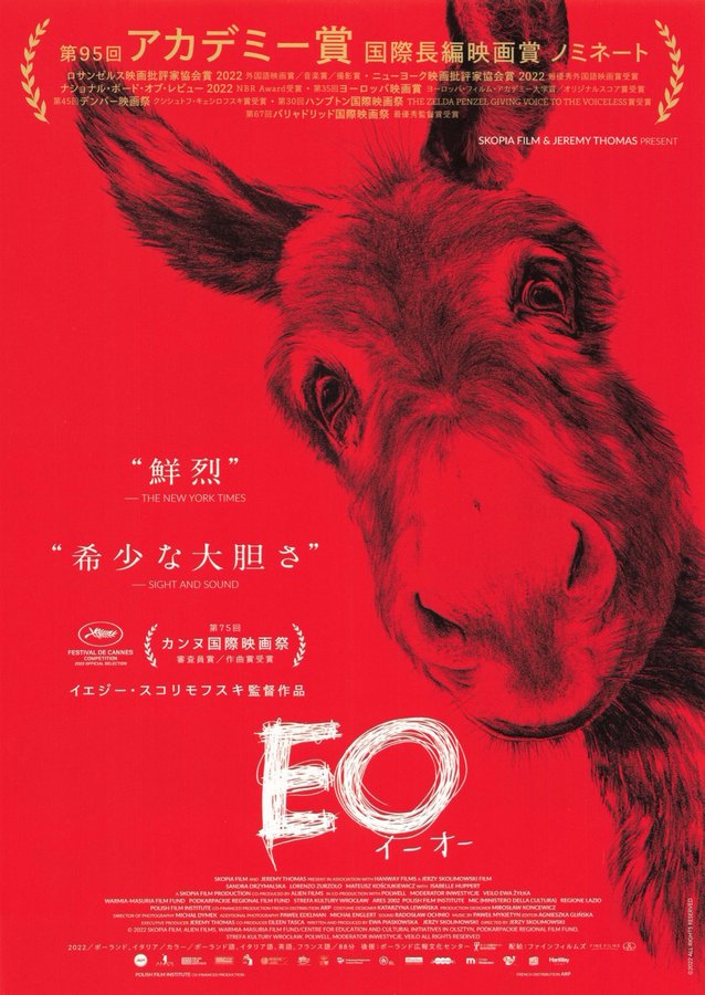 EO (2022) original Japanese theatrical chirashi flyer