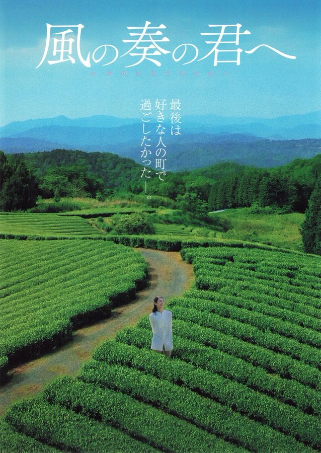 To You, the Melody of the Wind (2024) original Japanese theatrical chirashi flyer