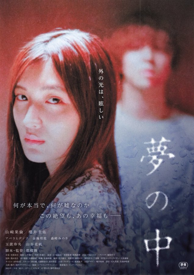 In a Dream (2023) original Japanese theatrical chirashi flyer