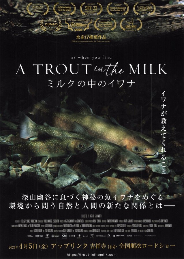 A TROUT in the MILK ミルクの中のイワナ (2024) original Japanese theatrical chirashi flyer