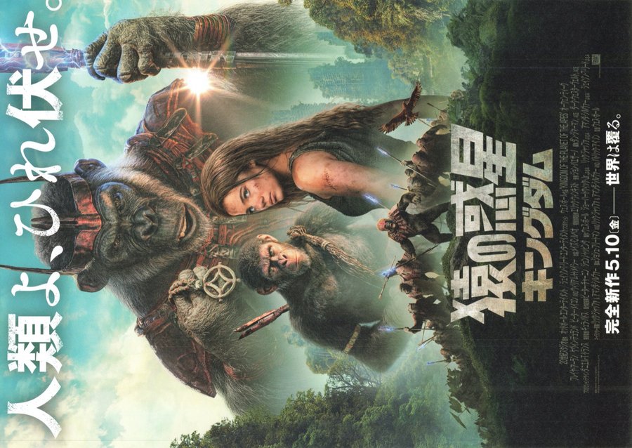 Kingdom of the Planet of the Apes (2024) original Japanese theatrical chirashi flyer
