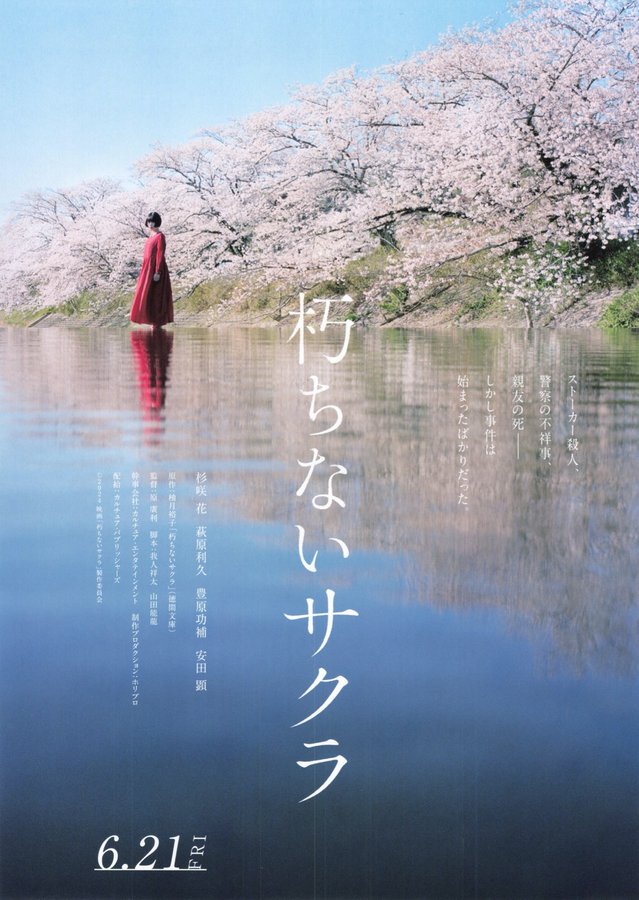 Kuchinai Sakura (2024) original Japanese theatrical chirashi flyer