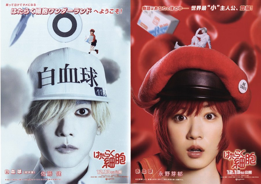 Cells at Work! (2024) original Japanese theatrical chirashi flyer