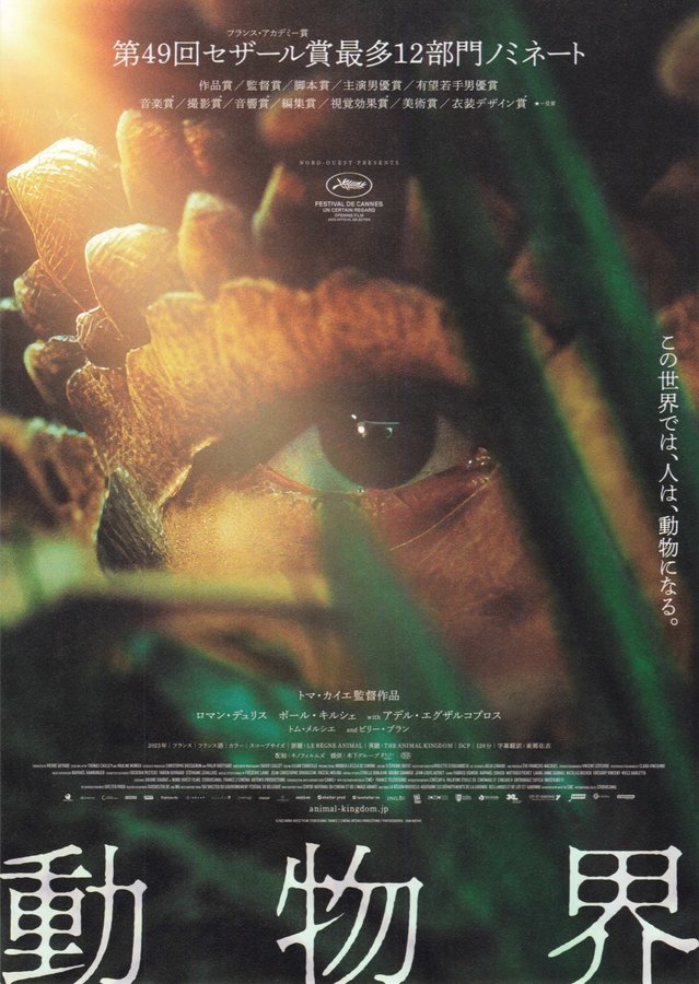 The Animal Kingdom (2023) original Japanese theatrical chirashi flyer