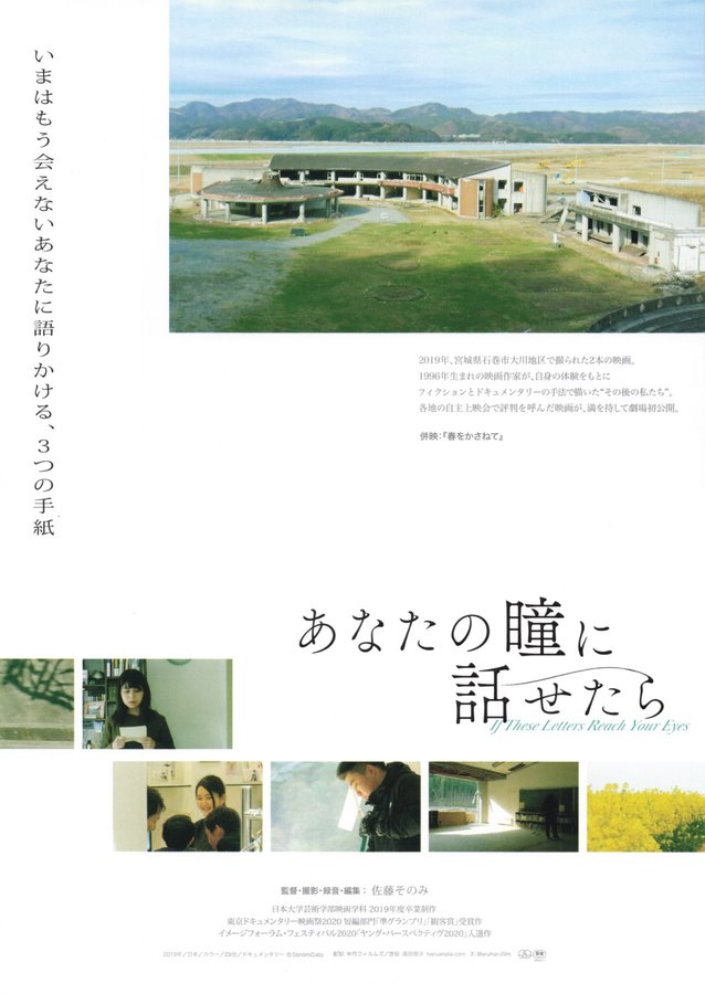 あなたの瞳に話せたら (2019) original Japanese theatrical chirashi flyer