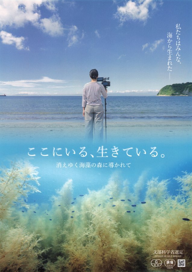 ここにいる、生きている。　〜消えゆく海藻の森に導かれて〜 (2024) original Japanese theatrical chirashi flyer