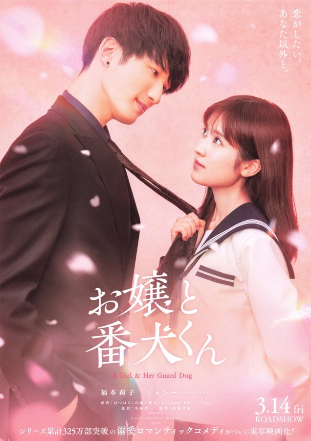 A Girl & Her Guard Dog (2025) original Japanese theatrical chirashi flyer