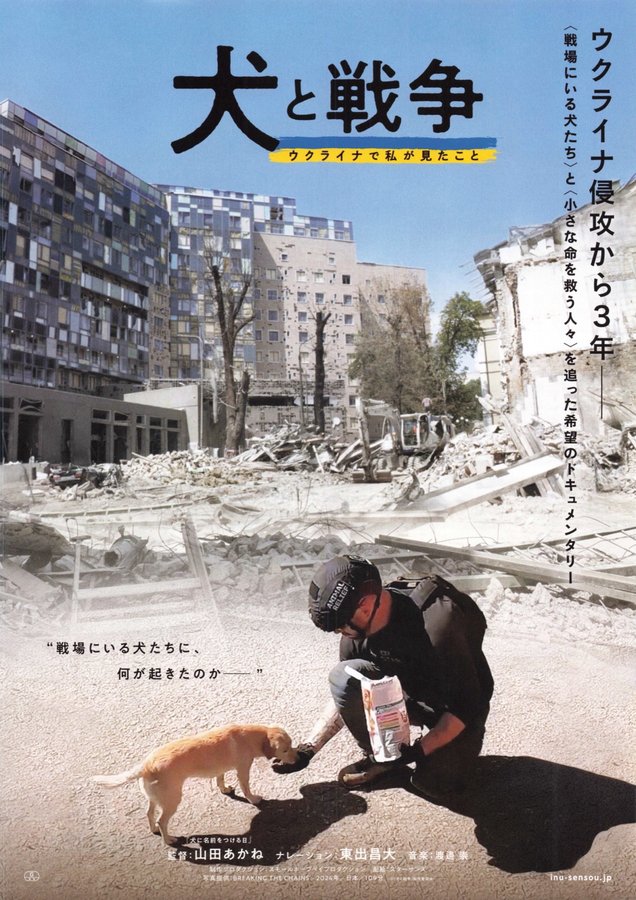 犬と戦争　ウクライナで私が見たこと (2025) original Japanese theatrical chirashi flyer