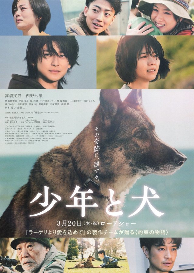 A BOY AND HIS DOG (2025) original Japanese theatrical chirashi flyer