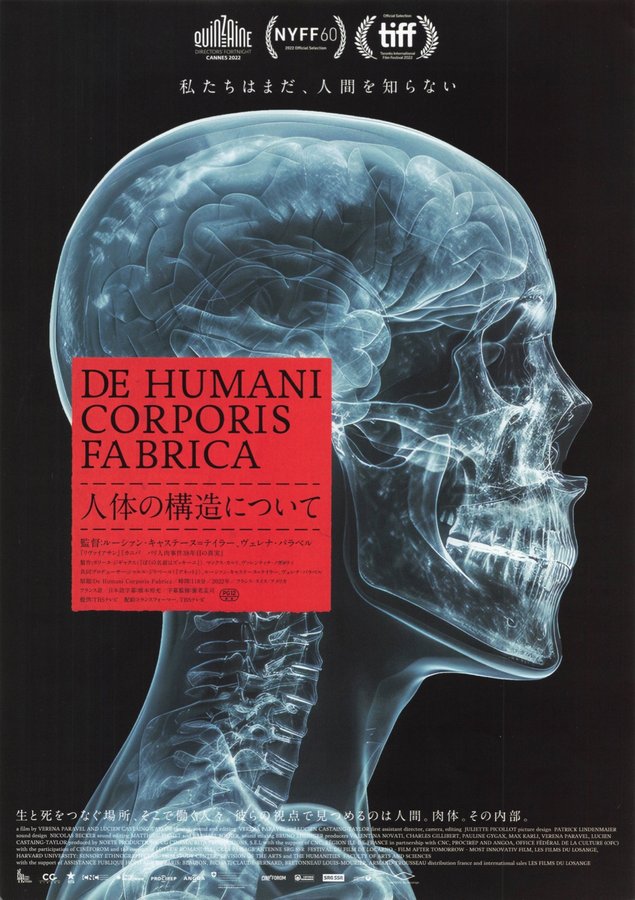 The Fabric of the Human Body (2022) original Japanese theatrical chirashi flyer