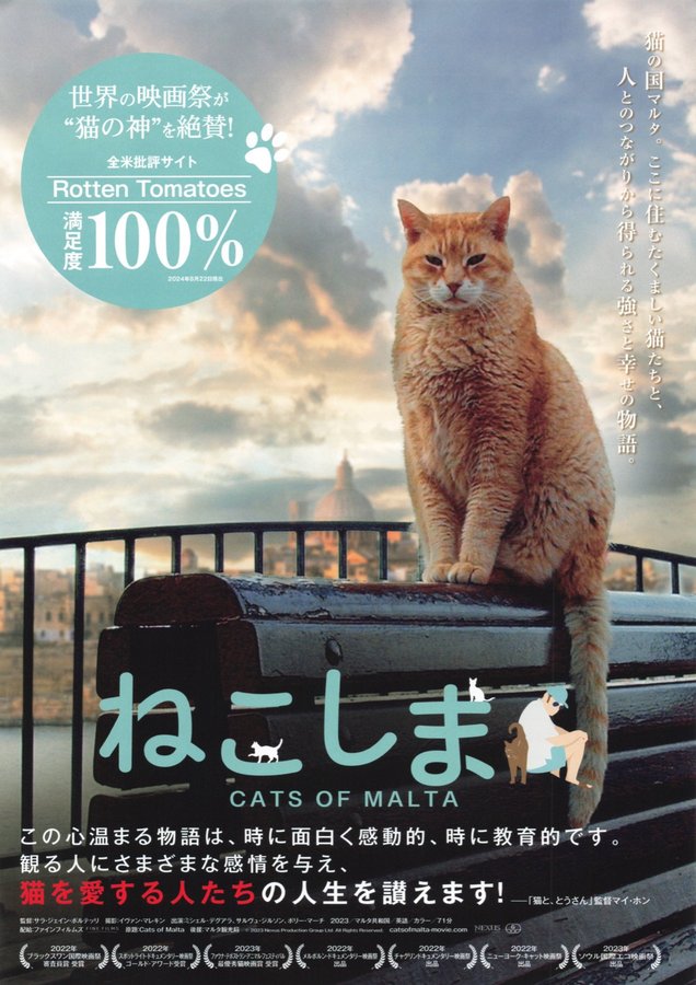 Cats of Malta (2023) original Japanese theatrical chirashi flyer