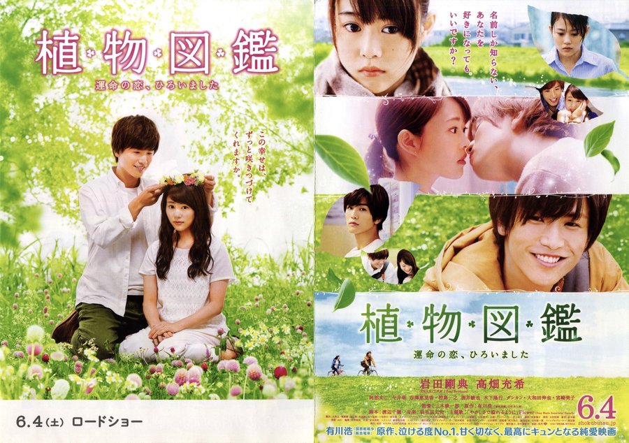 植物図鑑 運命の恋、ひろいました (2016) original Japanese theatrical chirashi flyer