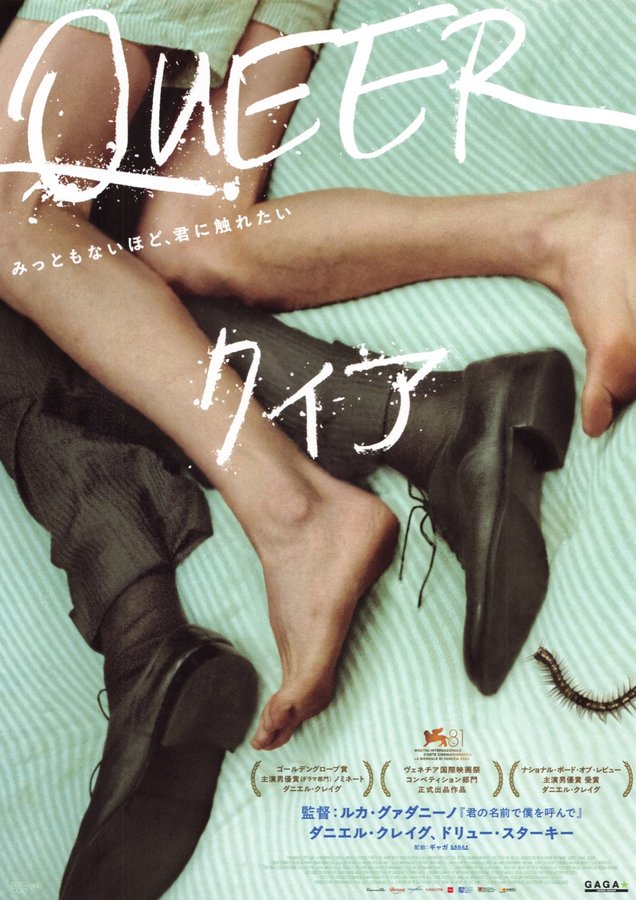 Queer (2024) original Japanese theatrical chirashi flyer