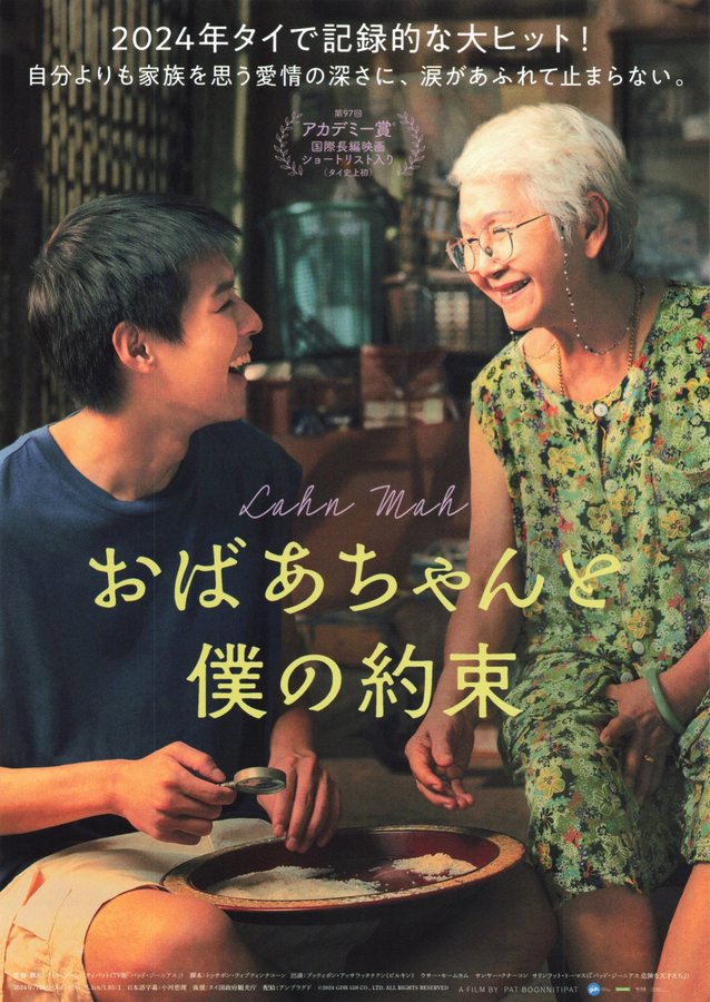 How to Make Millions Before Grandma Dies (2024) original Japanese theatrical chirashi flyer
