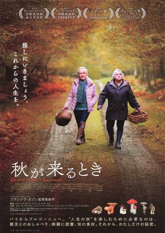 When Fall Is Coming (2024) original Japanese theatrical chirashi flyer