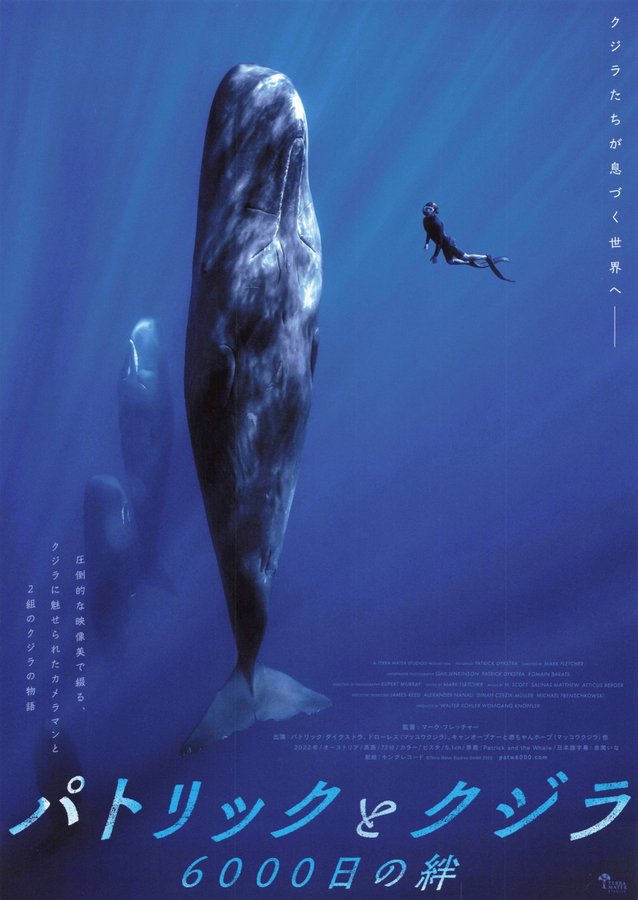 Patrick and the Whale (2022) original Japanese theatrical chirashi flyer