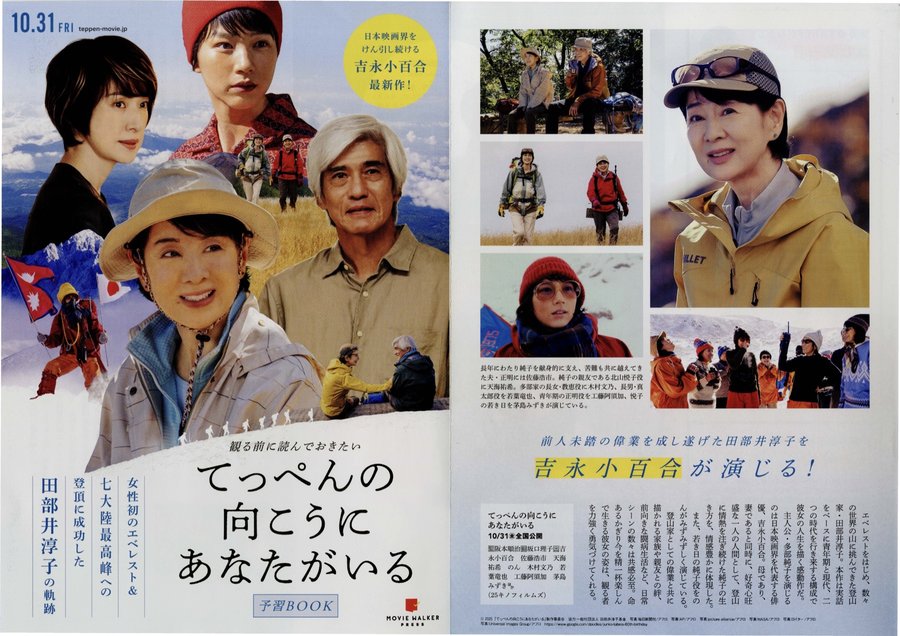 てっぺんの向こうにあなたがいる (2025) original Japanese theatrical chirashi flyer