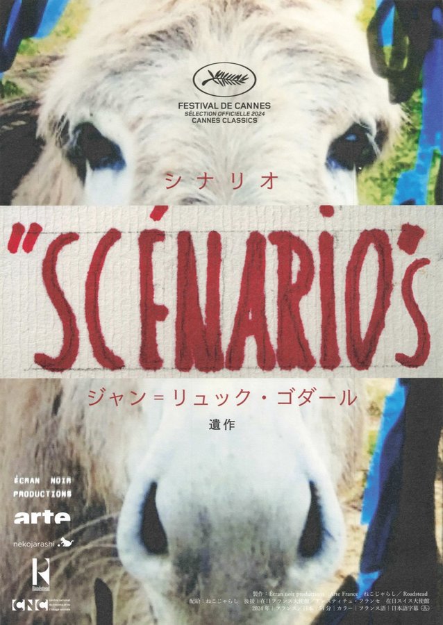 Exposé du film annonce du film “Scénario” (2024) original Japanese theatrical chirashi flyer