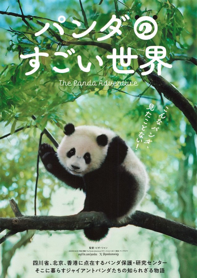 The Panda Adventure (2025) original Japanese theatrical chirashi flyer